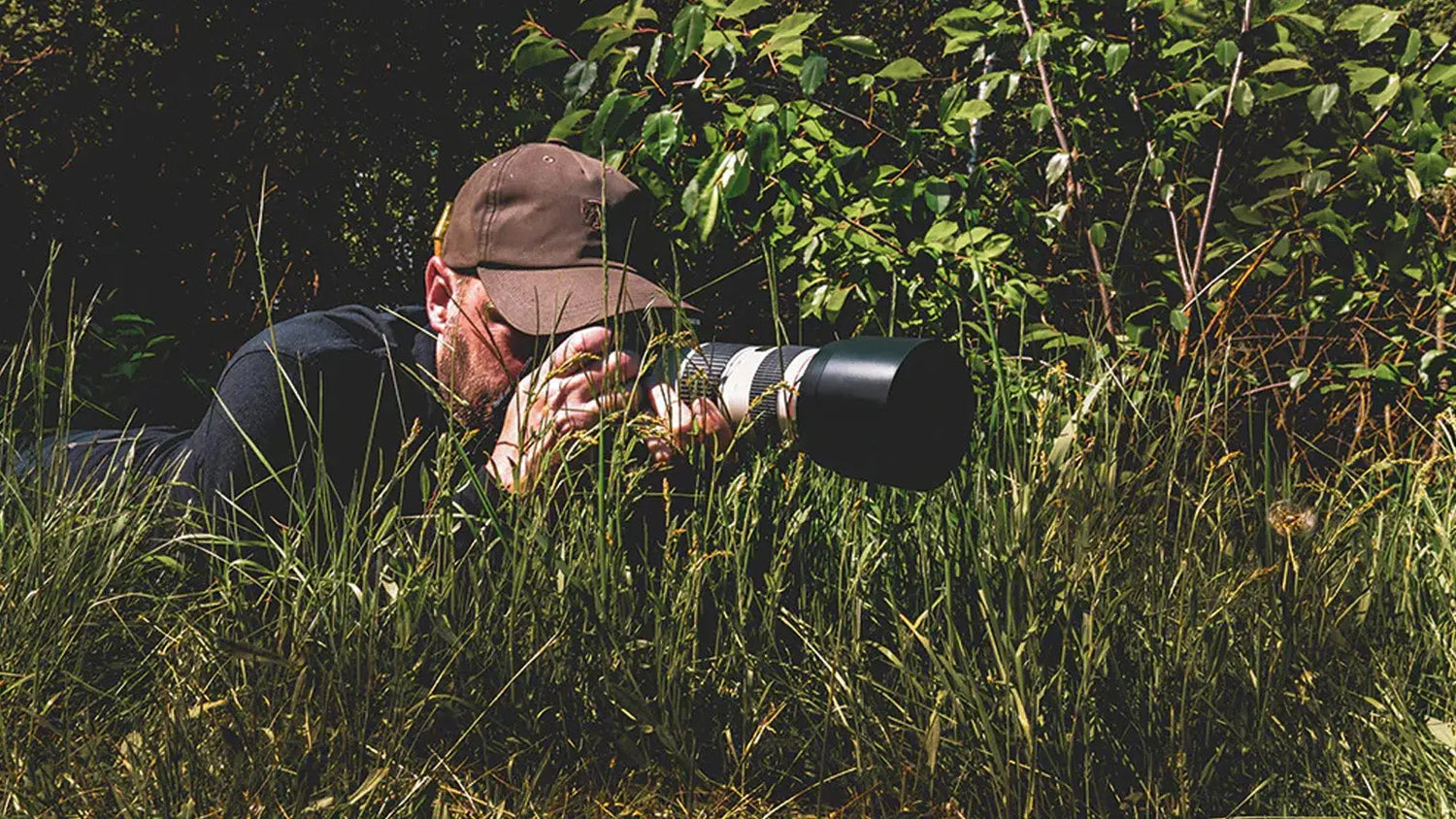 Photographer in tall grass with telephoto lens to avoid tick bites in high season.