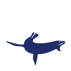 Stylized blue silhouette of a whale, perfect for Sealskinz waterproof socks collection.