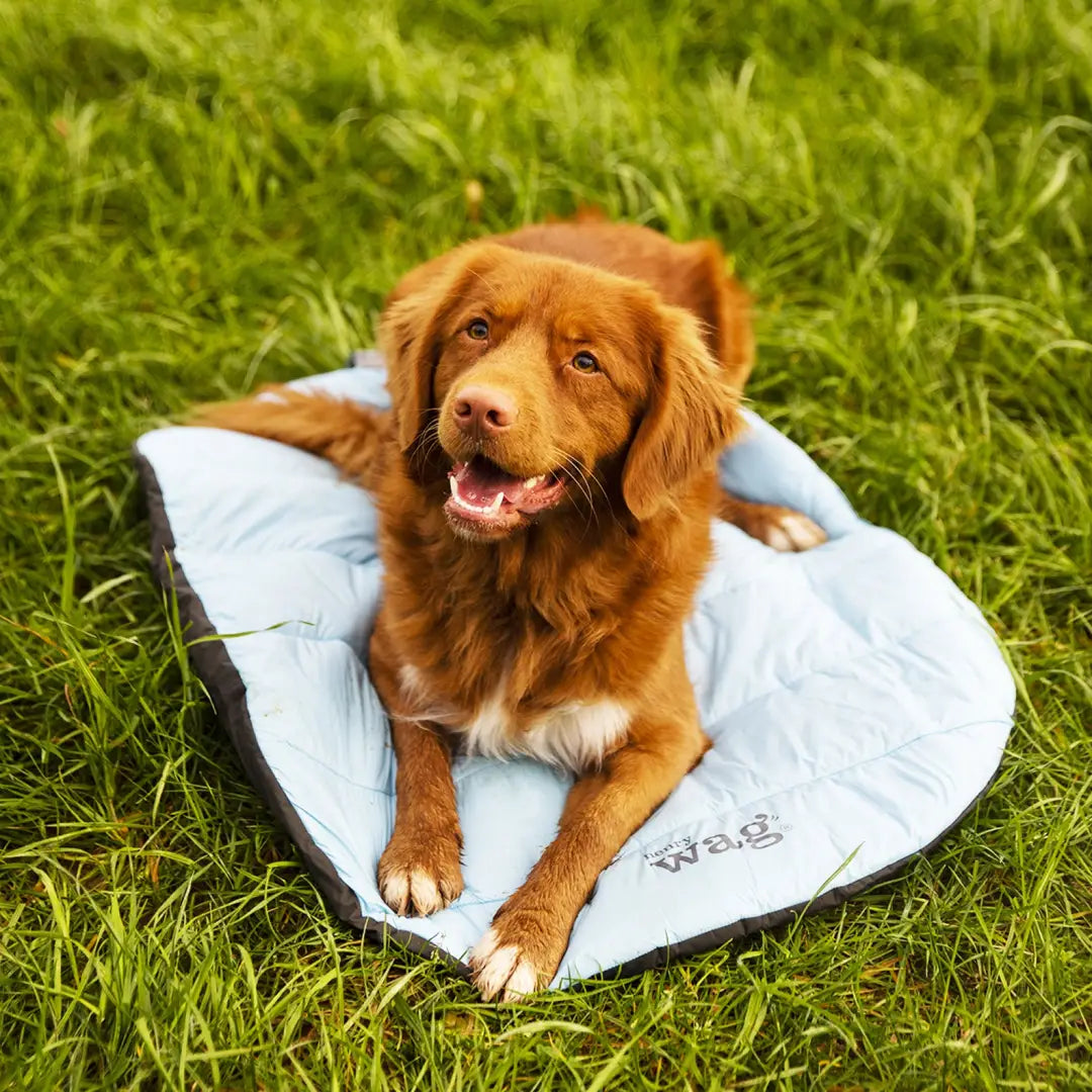 Golden Retriever relaxing on a light blue towel in the Henry Wag Alpine Travel Snuggle Bed