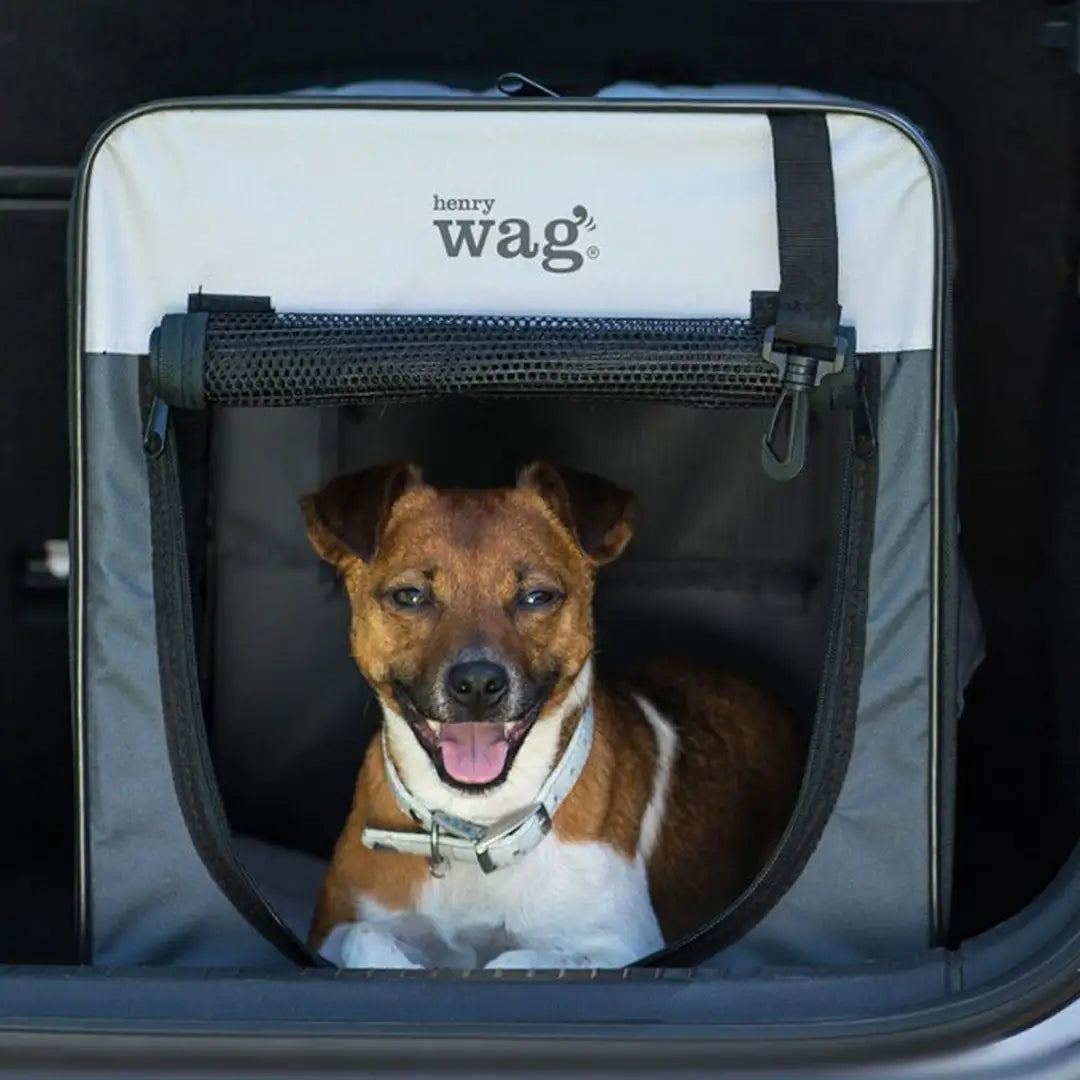 Smiling dog inside a Henry Wag folding fabric pet crate ready for travel adventures