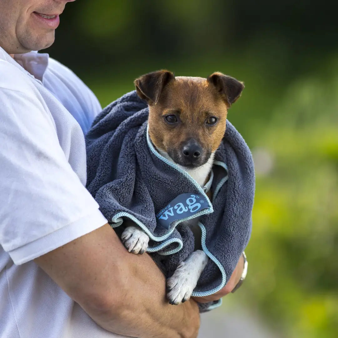 Small dog wrapped in a blue towel for easy pet cleaning with Henry Wag