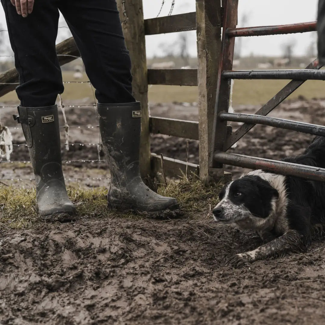 Border Collie lounging in mud by Hoggs of Fife Field Sport Wellingtons