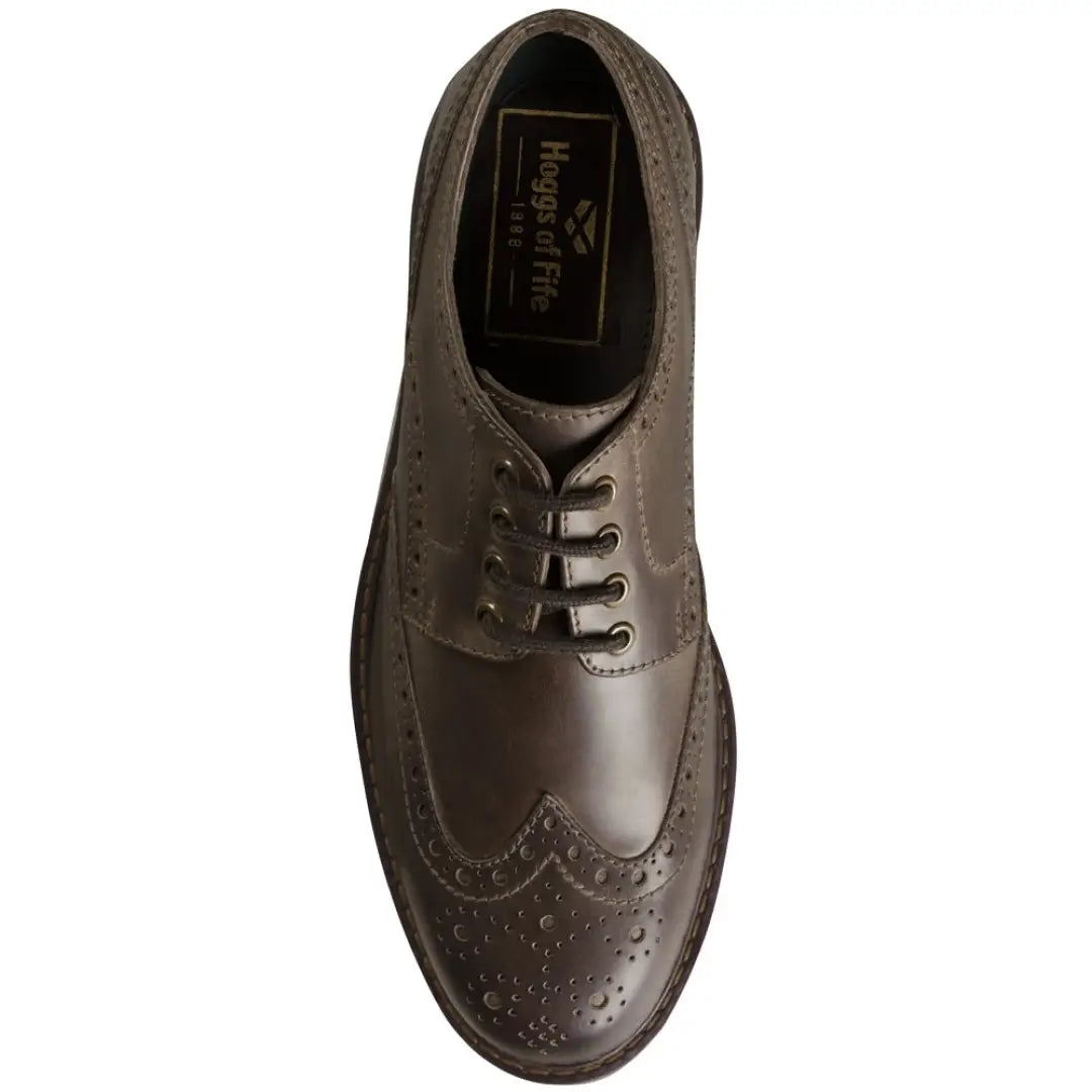 Brown leather wingtip oxford shoe showcasing brogue details from Hoggs Of Fife Inverurie Country