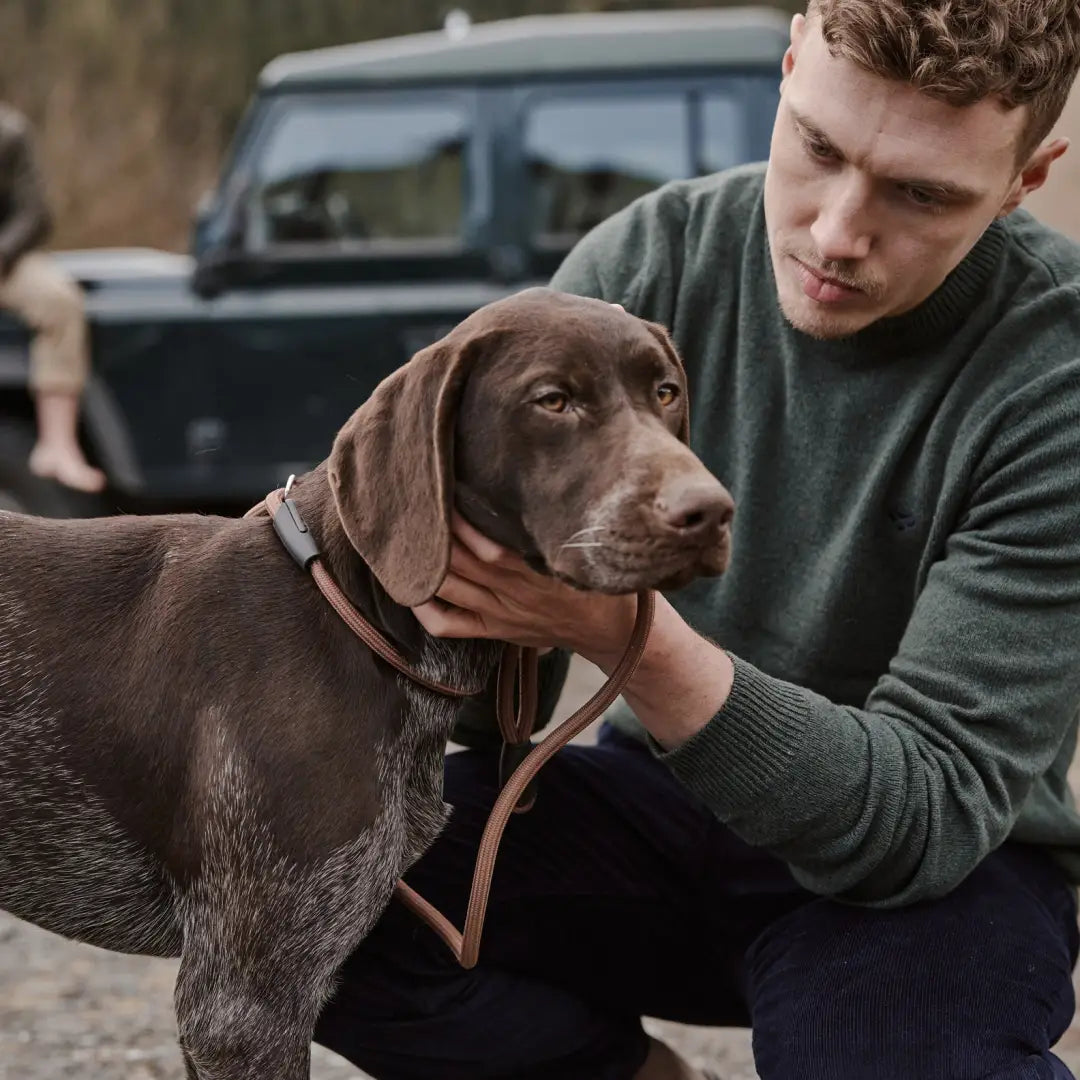 Brown Labrador Retriever with leather collar and leash, styled with Stonehaven crew neck