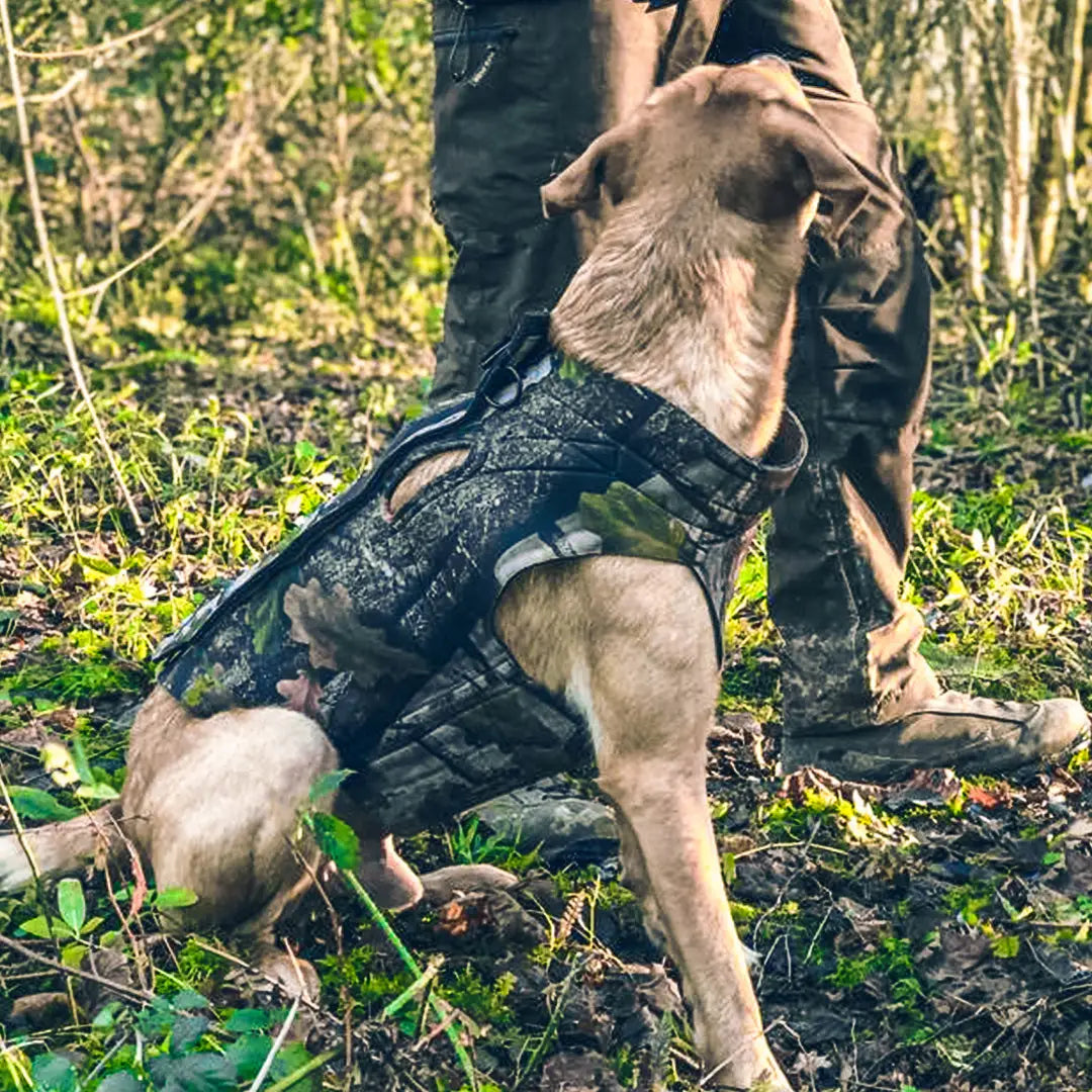 Camouflage dog vest hotsell