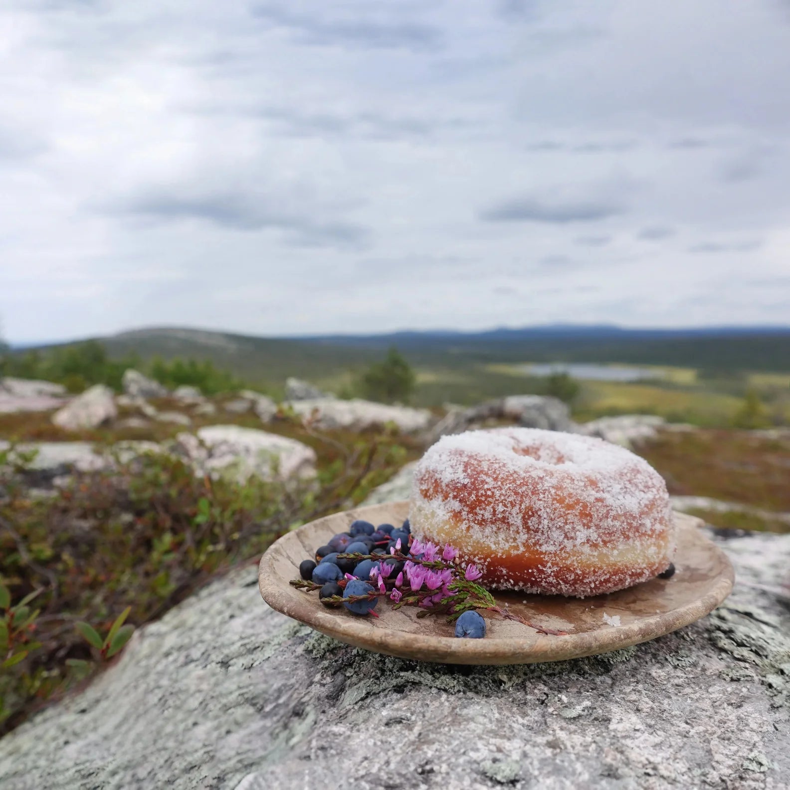 Sugar-coated donut with blueberries and flowers on Kupilka Small Plate for outdoors lovers