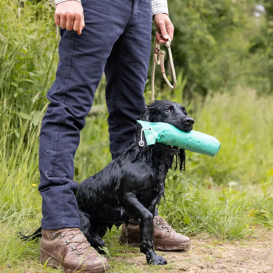 Black dog with teal toy by legs in stylish Forest Moleskin Jeans setting