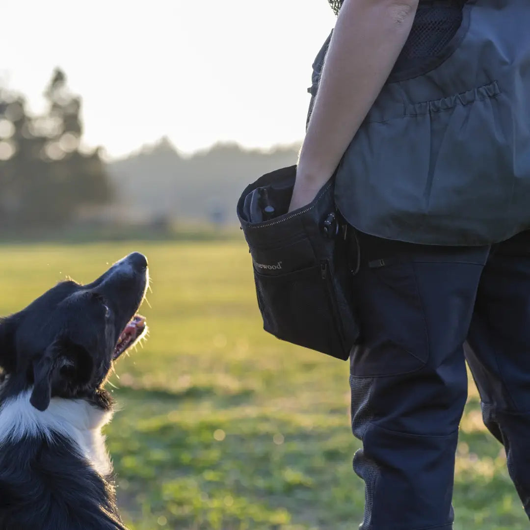 Border Collie eagerly gazing up at a person near a Pinewood Small Dog Sports Bag