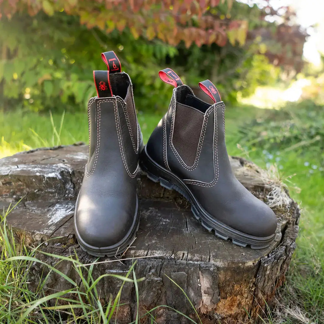 Pair of Black Leather Chelsea Boots on Tree Stump for Redback Bobcat Safety Boots