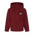 Burgundy hooded sweatshirt with green logo perfect for Ridgeline Kids Northern Pines Fleece