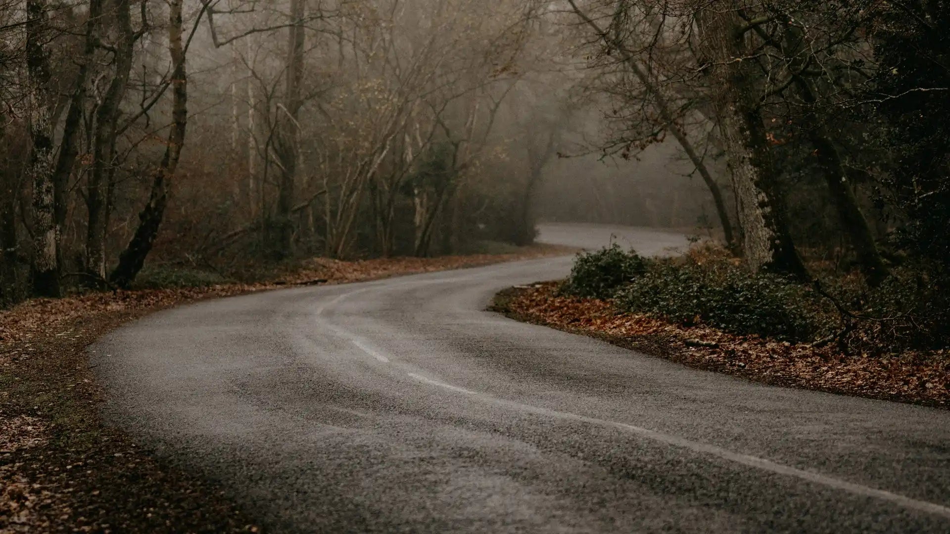 Winding asphalt road.