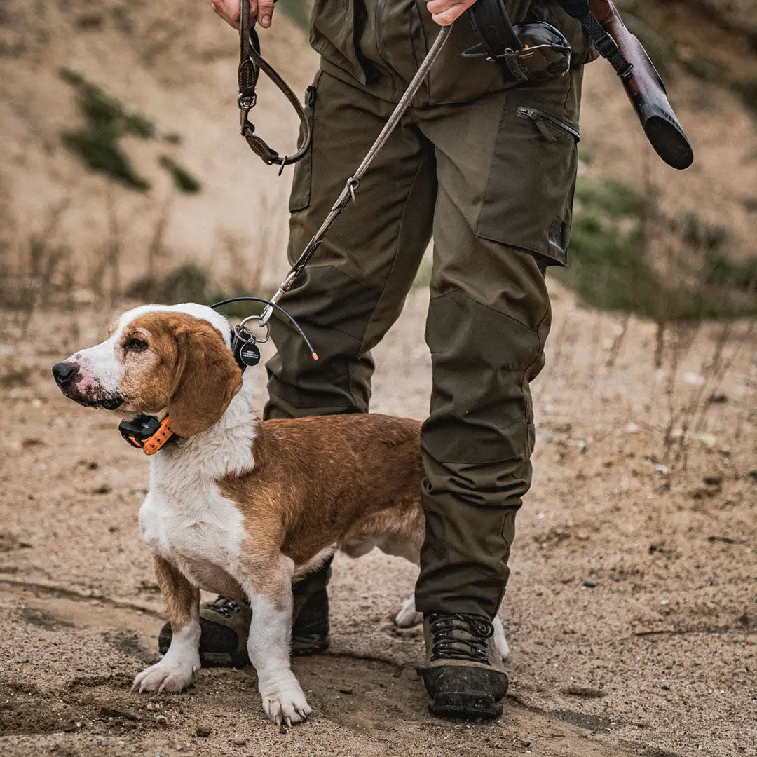 Beagle on a leash next to person in Seeland Trax Trousers for country clothing