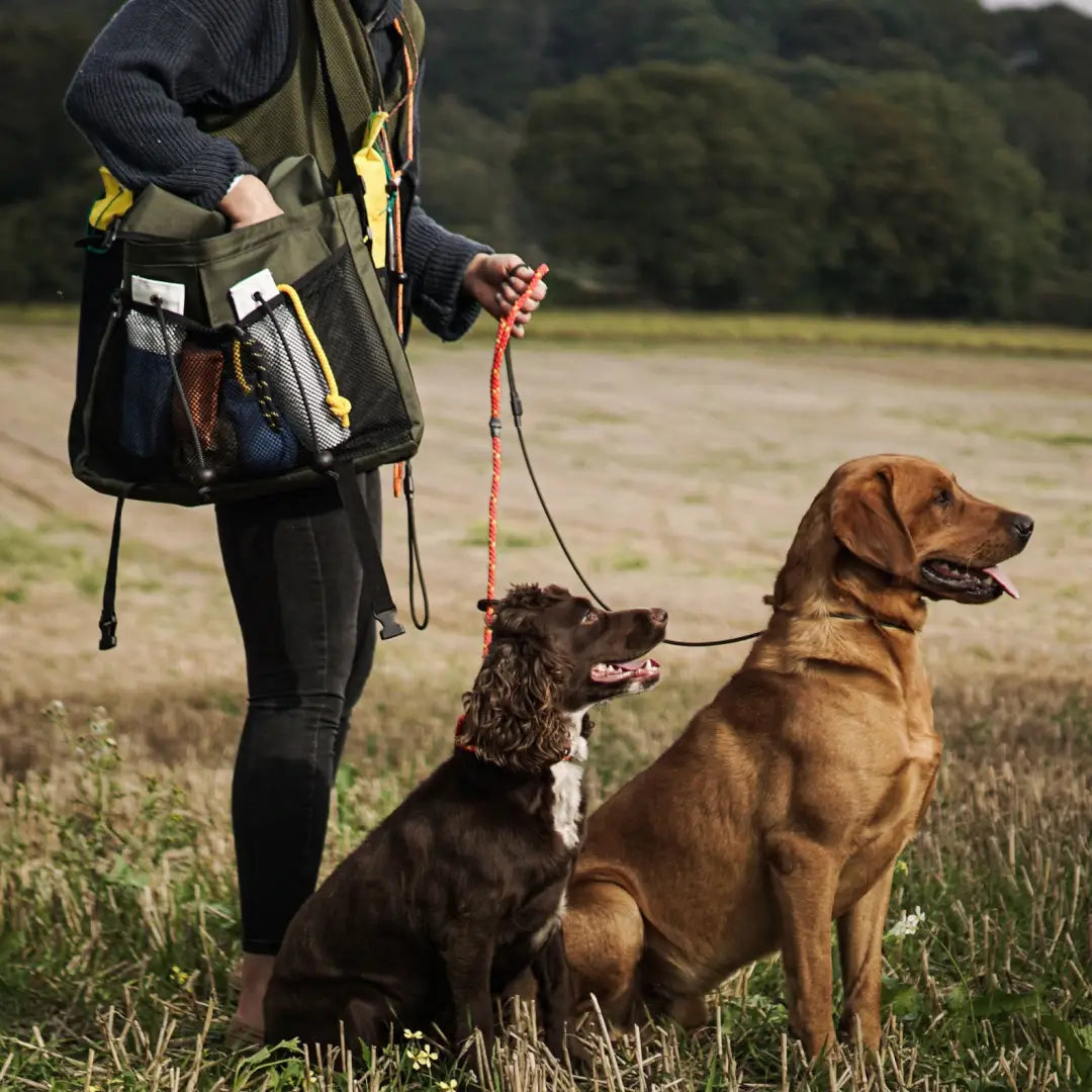 Two dogs on leashes with a person using a Sporting Saint Game Bag