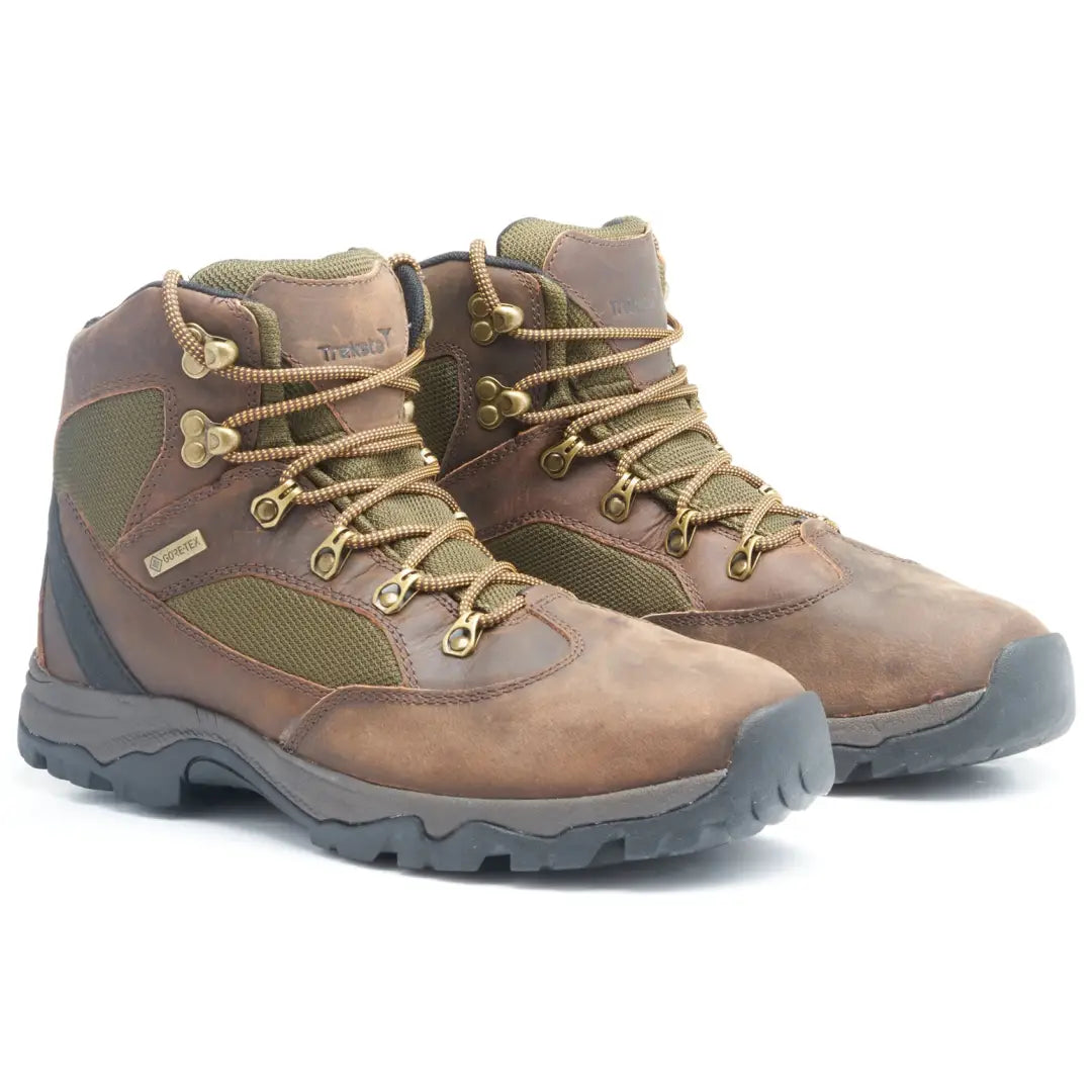 Brown Gore-Tex waterproof boots with rugged soles, perfect for outdoor adventures